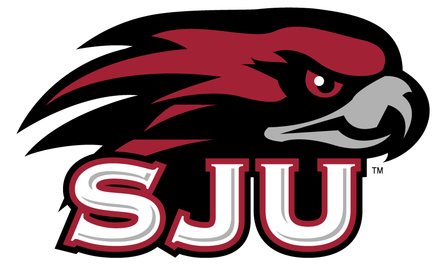 St. Joseph's Hawks 2002-Pres Secondary Logo v2 diy iron on heat transfer